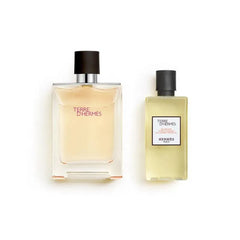 Hermes Terre D'Hermes EDT For Men 2Pcs x 100ML Set