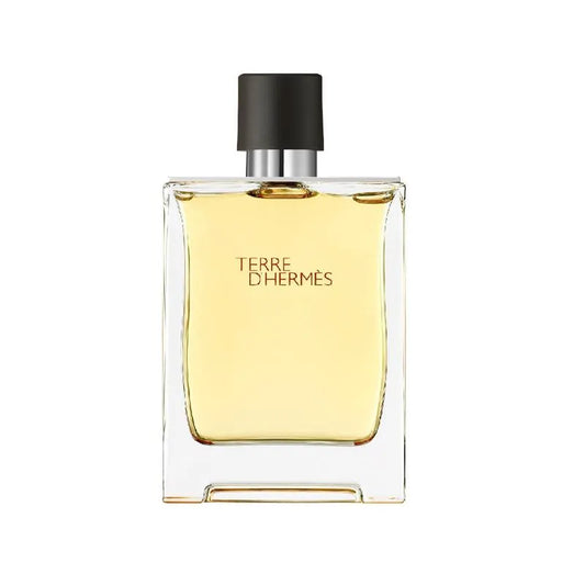 Hermès Terre D'Hermès EDT For Men 100ML