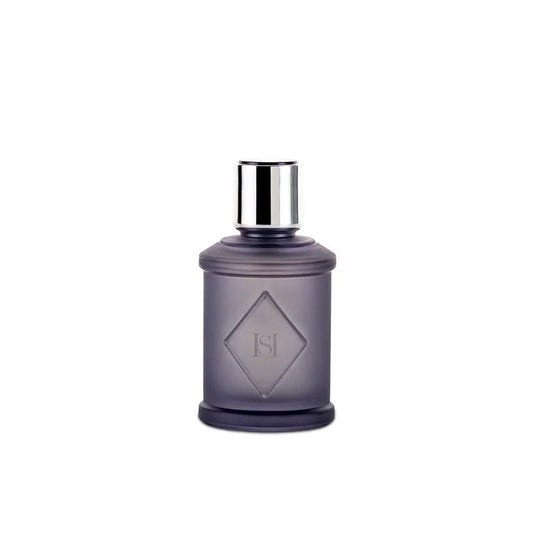 Hs Sergio Classy EDP For Men 100ML